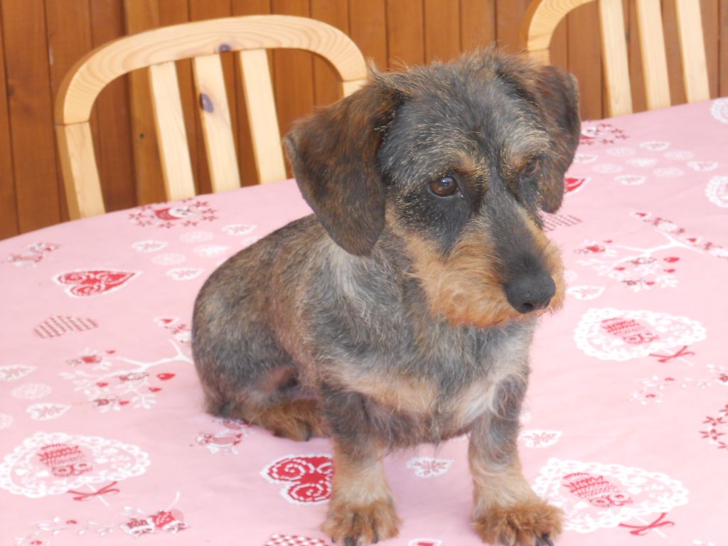 Ilka (Sans Affixe)